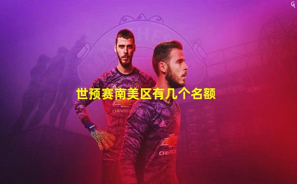 世预赛南美区有几个名额