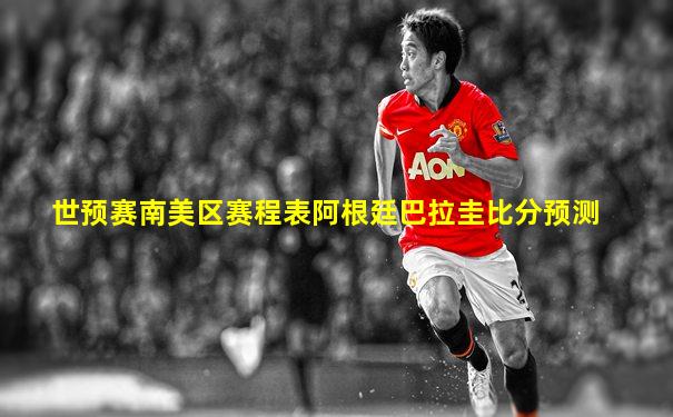 世预赛南美区赛程表阿根廷巴拉圭比分预测