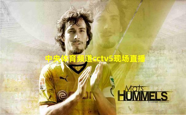 中央体育频道cctv5现场直播