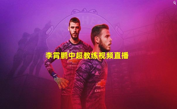 李霄鹏中超教练视频直播