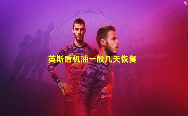 英斯盾机油一般几天恢复